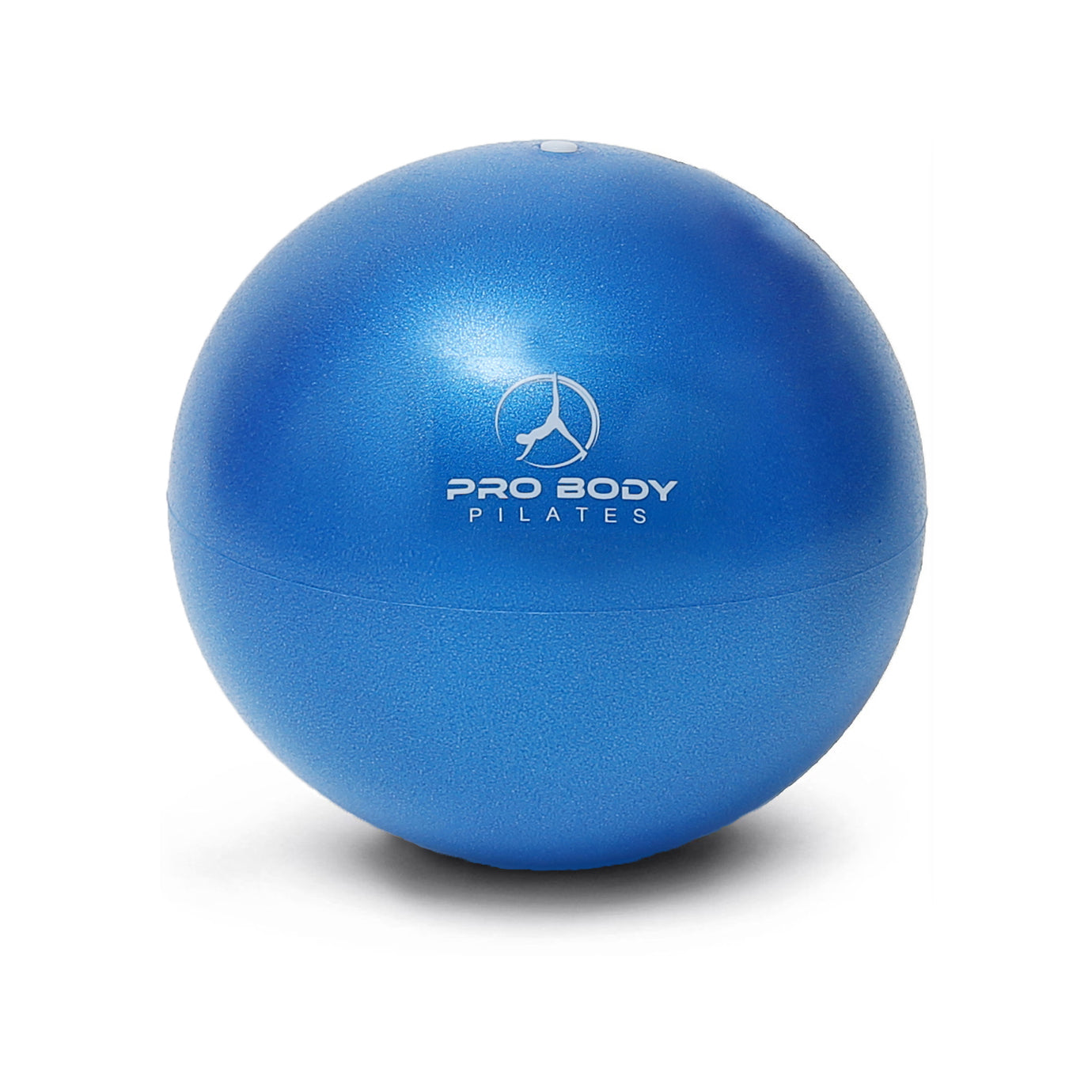 2pcs Mini Exercise Ball 9inch/23cm Small Yoga Ball Soft Pilate Ball Home  Training Ball, Anti Burst and Slip, with Inflatable Straw for Therapy,  Barre